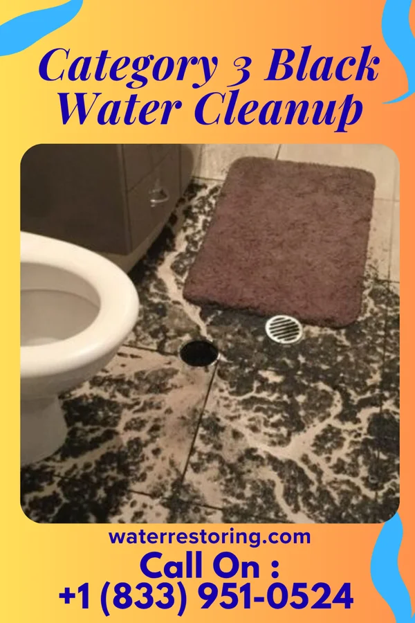 Category 3 Black Water Cleanup in Bridgeport, WV