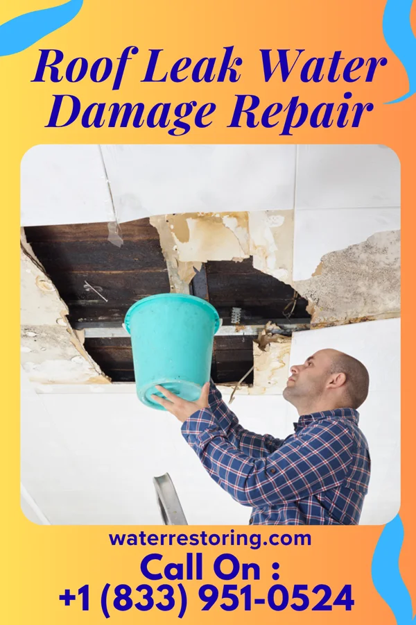 Roof Leak Water Damage Repair in Bridgeport, WV
