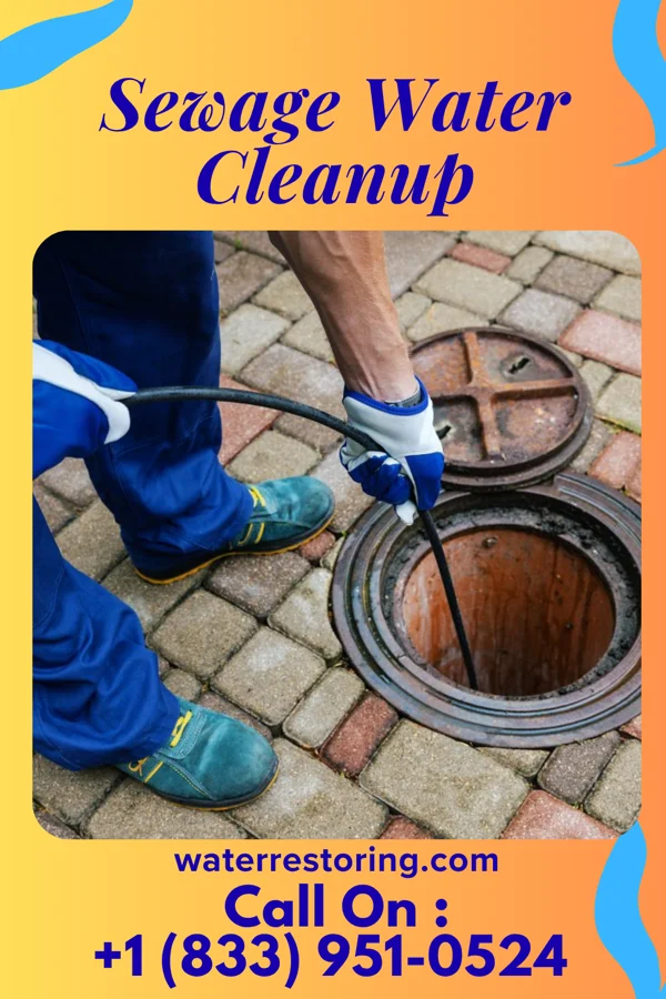 Sewage Water Cleanup in Bridgeport, WV